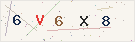 Security Captcha
